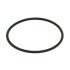 Ущільнююче кільце для Eheim PowerCleaner (3533) (7316018)