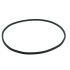 Уплотнительная прокладка для Eheim Professionel 1/2 350/600 (7343150)